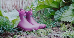 Cotswold Shoes