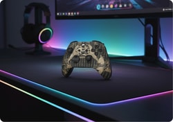 Custom Controllers