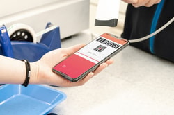 Daredemo Mobile