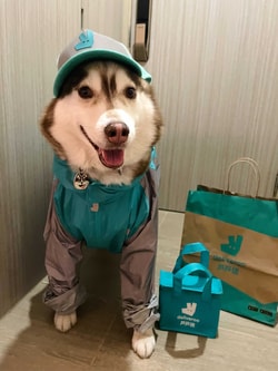 Deliveroo