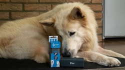 Dierenapotheek