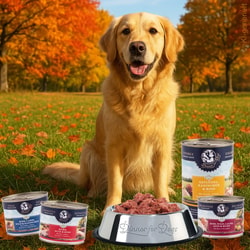Dinner for Dogs