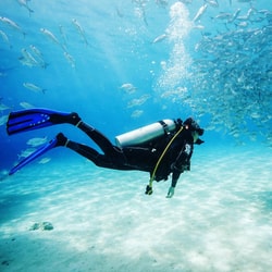 DIP 'N DIVE