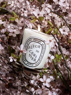 Diptyque