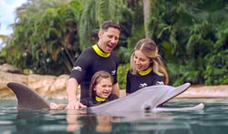 Discovery Cove Orlando