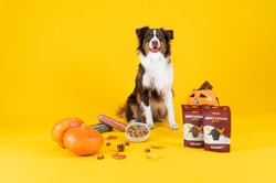 Dog Chef