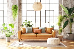DREAMSOFA