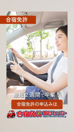 Driver's License