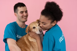 DrPetcare.de