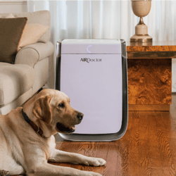 AirDoctor