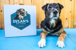 Dylan's Pet Food
