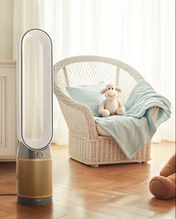 Dyson