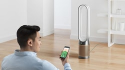 Dyson