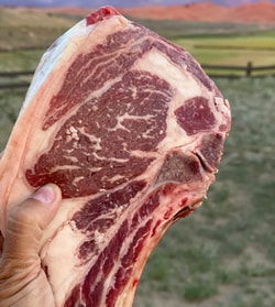 Eagle Rock Ranch