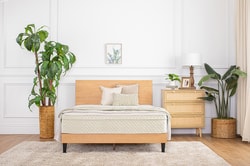 Eco Terra Beds