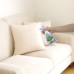 Ecodepa