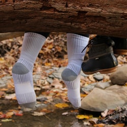 EcoSox