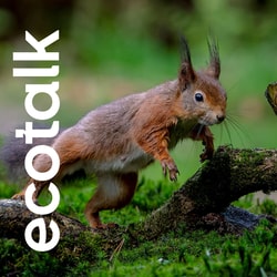 Ecotalk