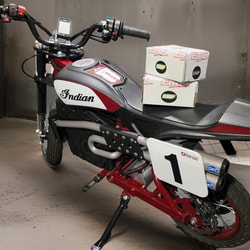 Electric Moto Family