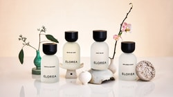 ELOREA