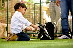 Emirates Park Zoo & Resort