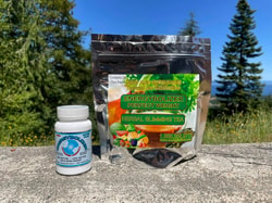 Energybolizer
