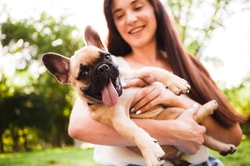 EntirelyPets