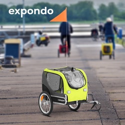 Expondo