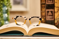 Eyebobs
