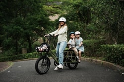 Fafrees Ebike