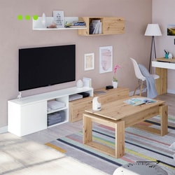 Fanmuebles