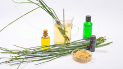 Farmacia Sotto Casa