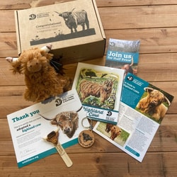 Fast Printed Packaging
