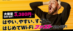 Fast SIM