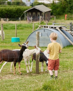 Feather Down Farms