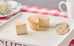 Pong Cheese
