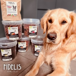 Fidelis