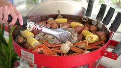 FIREDISC Cookers