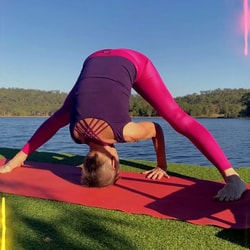 Flametree Yoga Studio