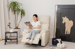 FlexiSpot
