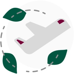 Flight Network