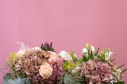 FloraQueen