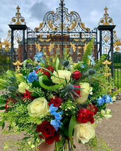 Flowers & Plants Co.