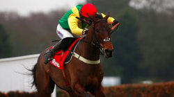 Free Racing Tips