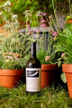 Frog's Leap Winery