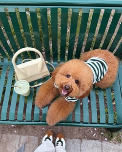 FURB