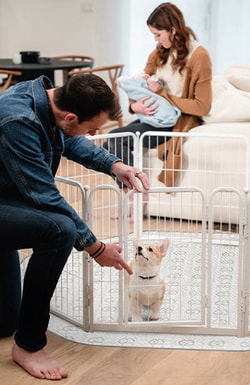 FXW Dog Playpen