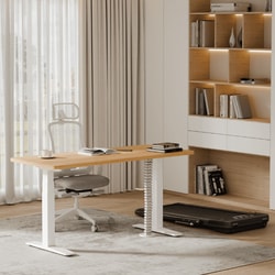 FlexiSpot