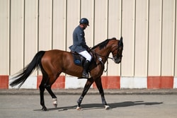 Galop-Store