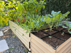 Garden In Minutes